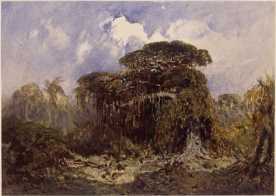 Skogstudie av Eduard Hildebrandt