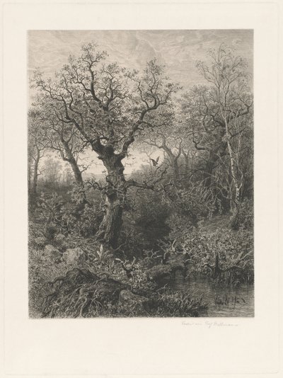 Høst av Eduard Willmann, after Eduard Marak