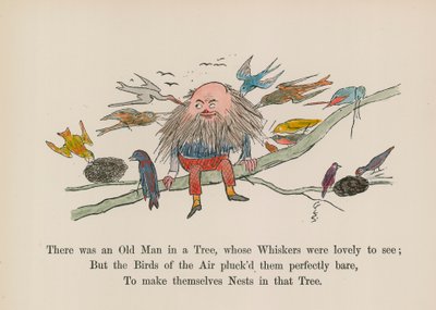  av Edward (after) Lear