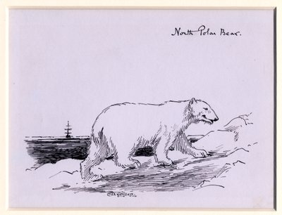Isbjørn, ca. 1905 (blekk på papir) av Edward Adrian Wilson
