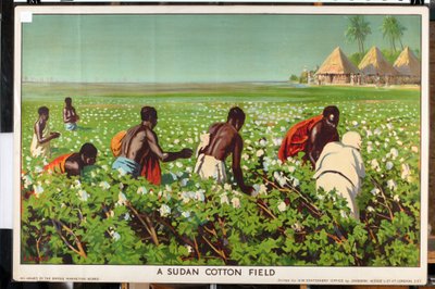 A Sudan Cotton Field, fra serien 'Empire Trade is Growing' (farge litho) av Edward Barnard Lintott