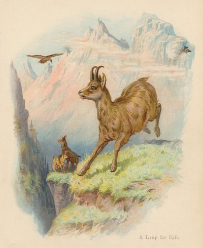  av Edward Brice Montefiore