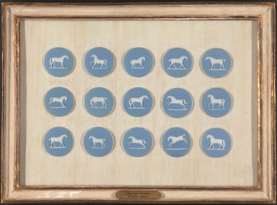 Horse Studies in Relief, etter George Stubbs av Edward Burch