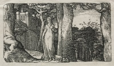 The Lady and the Rooks av Edward Calvert