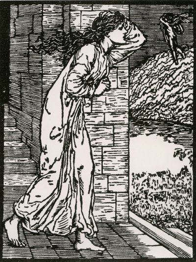 Psyche skynder seg ut av Palace av Edward Coley (after) Burne Jones