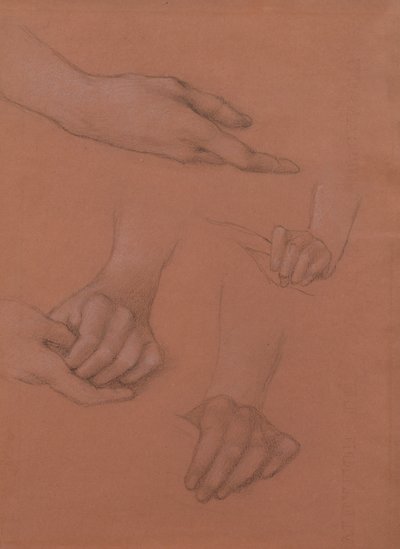 Studies of Hands for the Portrait of Mary Gaskell (svart-hvitt kritt på papir) av Edward Burne Jones