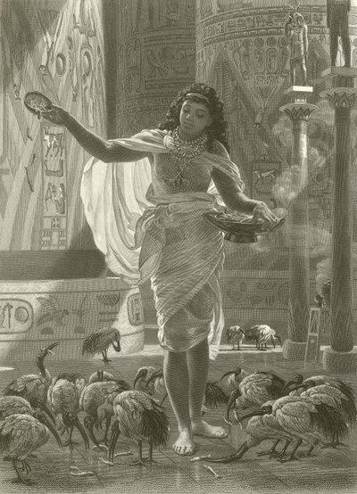 Mater den hellige ibis i Karnacs haller av Edward John Poynter