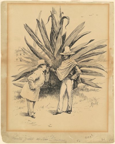 Kaktus fra Mexico av Edward Kemble