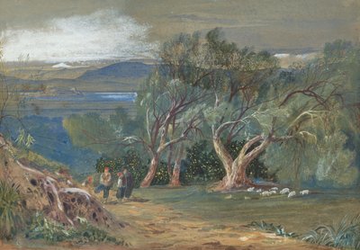  av Edward Lear
