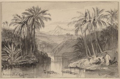 Avisavella, Ceylon av Edward Lear