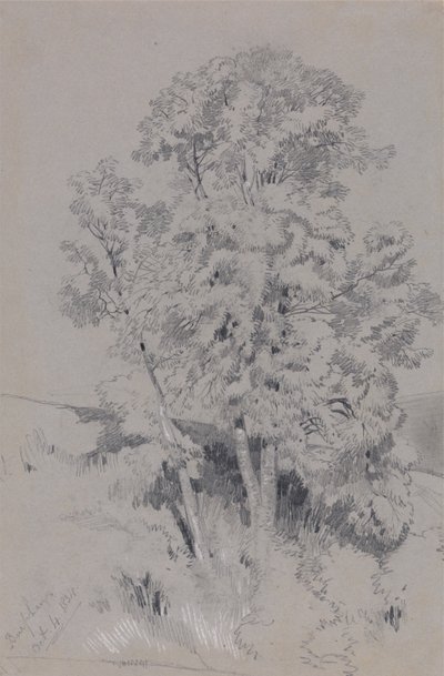  av Edward Lear