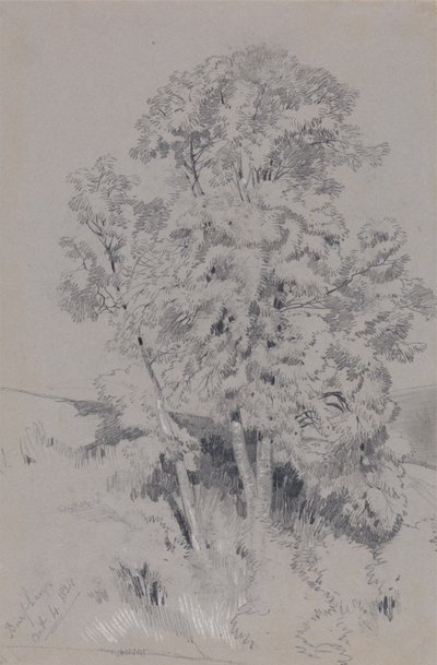  av Edward Lear