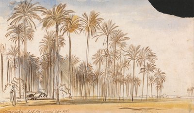  av Edward Lear