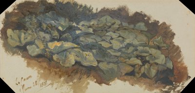  av Edward Lear