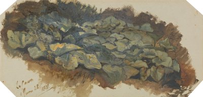  av Edward Lear