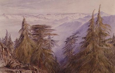 Aper på en stein i nærheten av Simla, Nord-India av Edward Lear