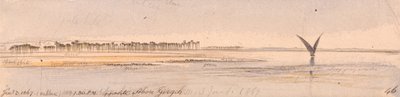  av Edward Lear
