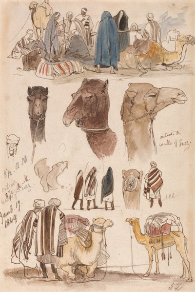  av Edward Lear