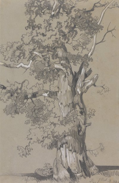  av Edward Lear