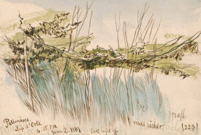 Pettenasco, Ortasjøen av Edward Lear
