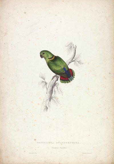  av Edward Lear