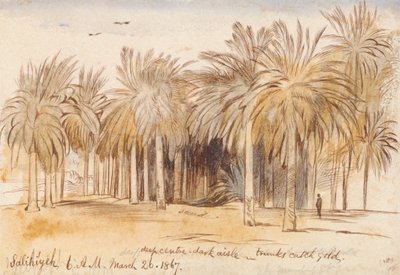  av Edward Lear