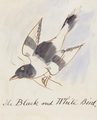The Black and White Bird, fra seksten tegninger av tegneseriefugler (penn og blekk wc på papir) av Edward Lear