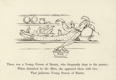 Det var en ung person fra Bantry, som ofte sov i pantryet av Edward Lear