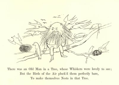 Det var en gammel mann i et tre, hvis værhår var nydelig å se av Edward Lear