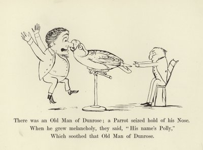Det var en gammel mann fra Dunrose; en papegøye grep tak i nesen hans av Edward Lear