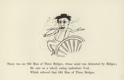 Det var en gammel mann med tre broer, hvis sinn ble distrahert av Midges av Edward Lear