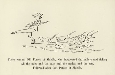 Det var en gammel skjoldperson, som besøkte dalene og jordene av Edward Lear