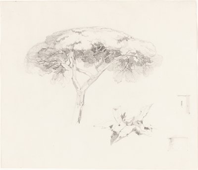 Paraplyfuru og andre studier av Edward Lear
