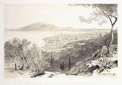 Utsikt fra Castle Hill, Ser Mot Monte Skopo, Zante, 1863 av Edward Lear