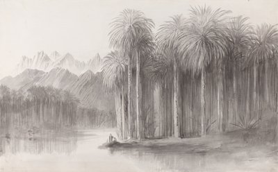  av Edward Lear