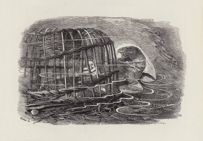 Illustrasjon for The Water-Babies av Charles Kingsley (gravering) av Edward Linley (after) Sambourne