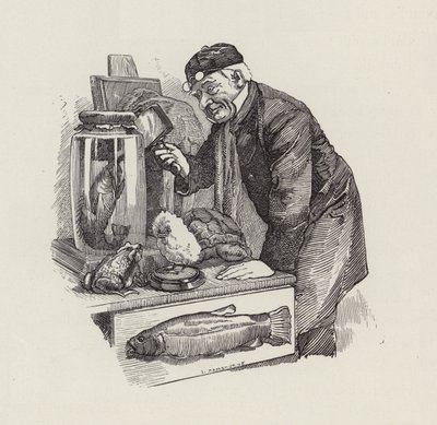 Illustrasjon for The Water-Babies av Charles Kingsley (gravering) av Edward Linley (after) Sambourne