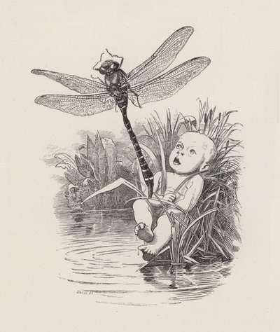 Illustrasjon for The Water-Babies av Charles Kingsley (gravering) av Edward Linley (after) Sambourne