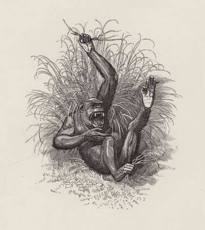 Illustrasjon for The Water-Babies av Charles Kingsley (gravering) av Edward Linley (after) Sambourne