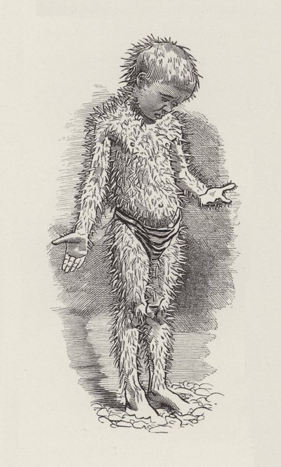 Illustrasjon for The Water-Babies av Charles Kingsley (gravering) av Edward Linley (after) Sambourne