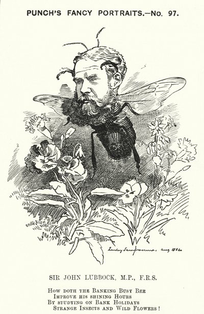 Punch tegneserie: John Lubbock av Edward Linley (after) Sambourne