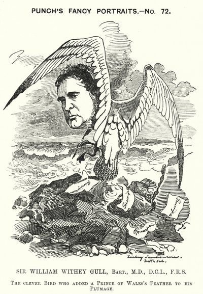 Punch tegneserie: Sir William Withey Gull, engelsk lege som behandlet prinsen av Wales for tyfus og ble ordinær lege for dronning Victoria (gravering) av Edward Linley (after) Sambourne