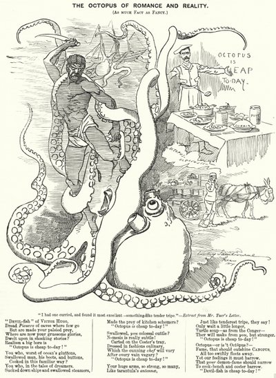 Punch tegneserie: The Octopus of Romance and Reality (gravering) av Edward Linley (after) Sambourne
