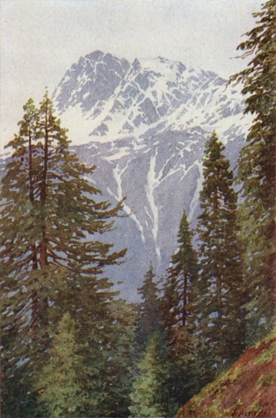 Kotwal fra skogen over Kangan, Sind-dalen av Edward Mary Joseph Molyneux