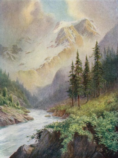 Fjelltåker av Edward Mary Joseph Molyneux