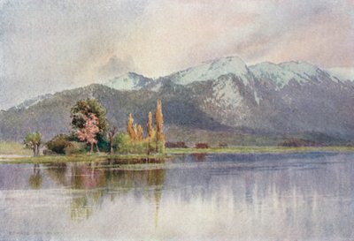 Kajnag fra Sopur, tidlig på våren av Edward Mary Joseph Molyneux