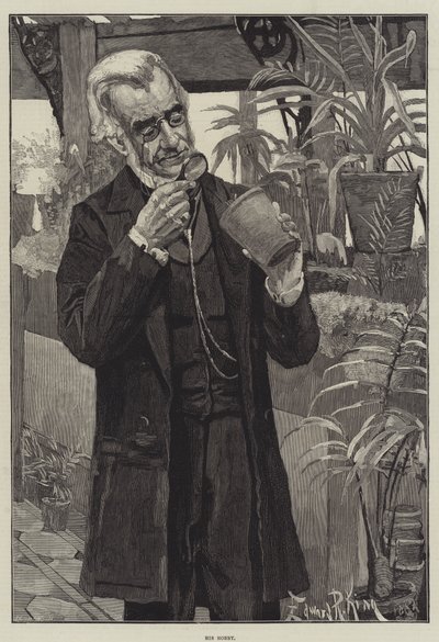 Hobbyen hans av Edward R. King