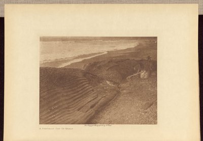  av Edward S. Curtis