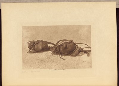  av Edward S. Curtis