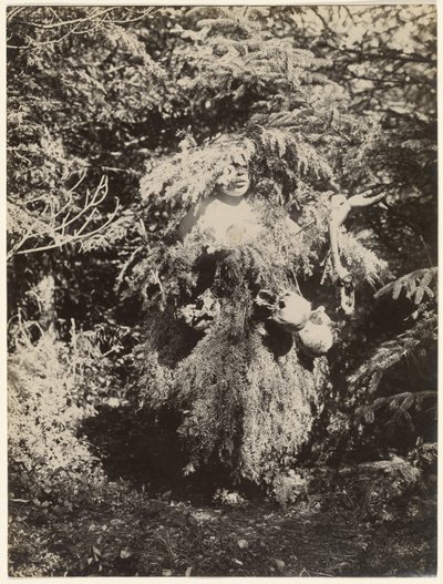  av Edward S. Curtis